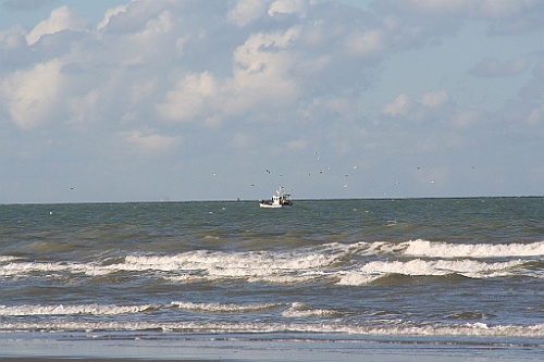 DePanne (15)
